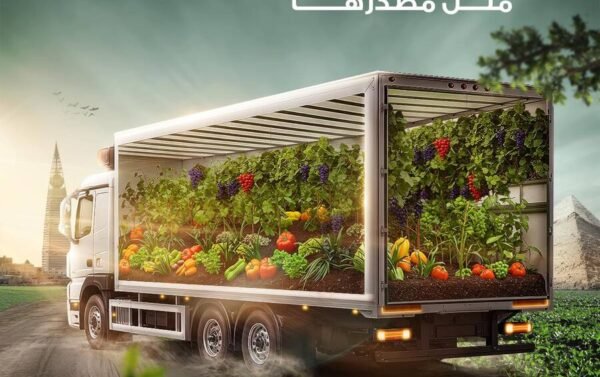 نقل المواد الغذائية