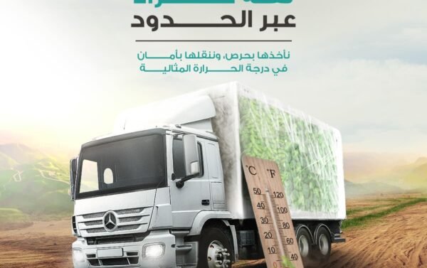 تخزين المواد الغذائية الجافة